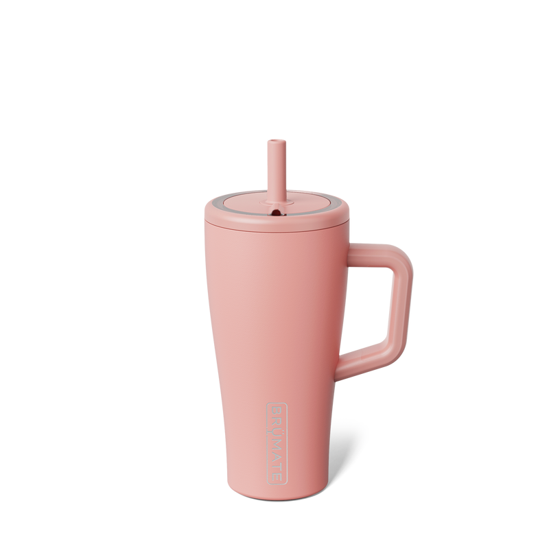 Era 20oz | Guava F9